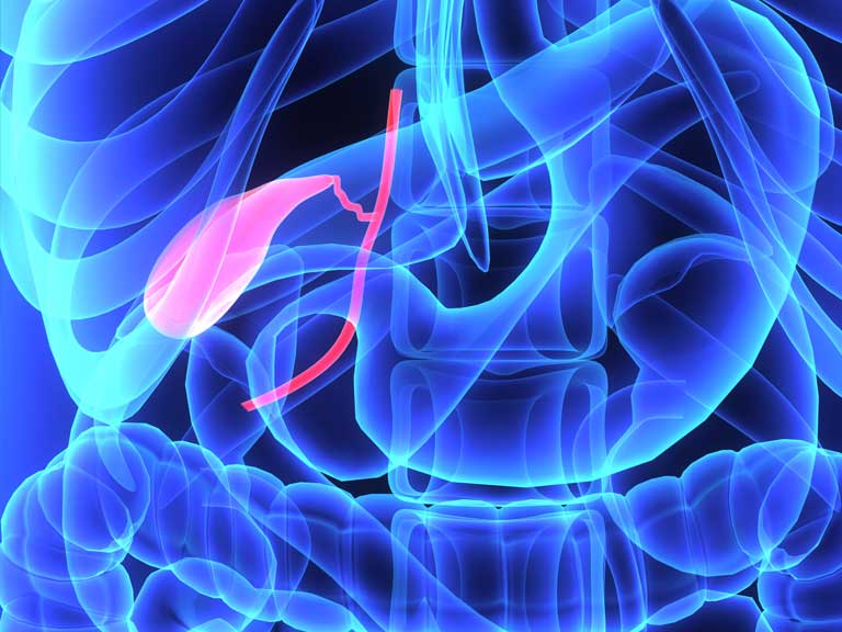 gallbladder